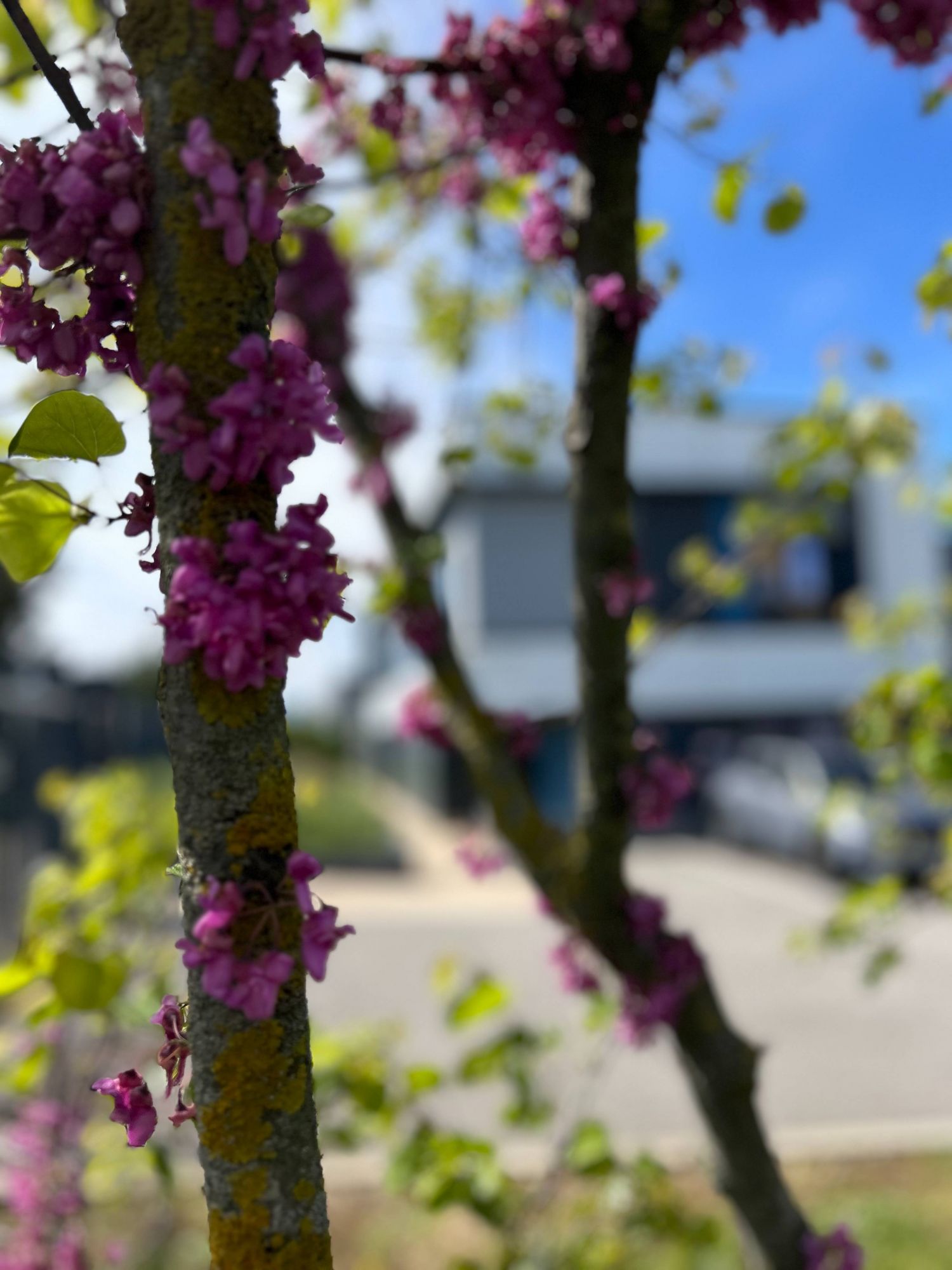nature en industrie biodiversité en industrie